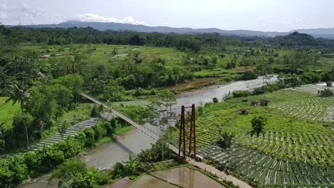 4k video of the suspension bridge connecting villages with views of rice fields Stock Footage 293606955