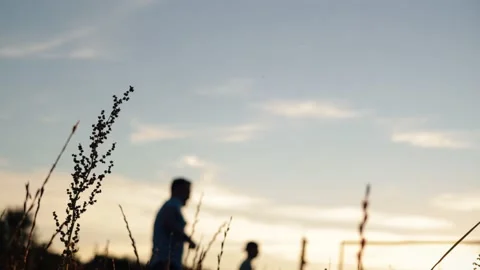 4k video Team playing beach valleyball on sunset. Youth having fun on beach at Stock Footage 212172108