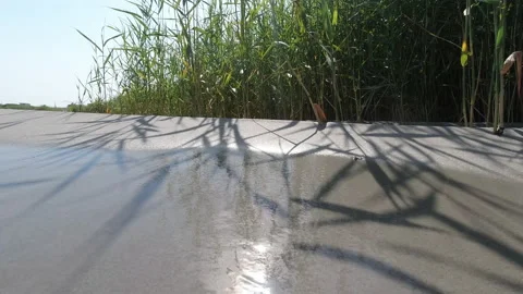 4K video of texture of sand with pattern shadows of dunes grass at sea. Stock Footage 204592521