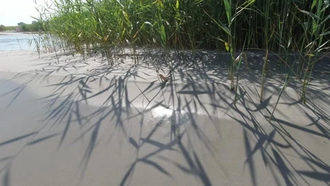 4K video of texture of sand with pattern shadows of dunes grass at sea. Stock Footage 204602092