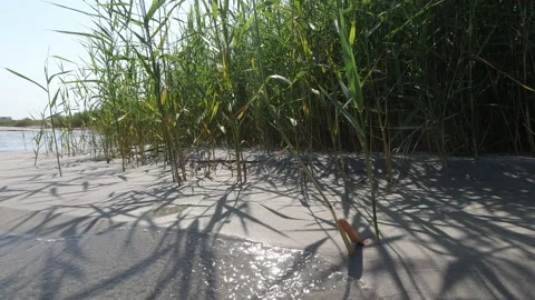 4K video of texture of sand with pattern shadows of dunes grass at sea. Stock Footage 204612120