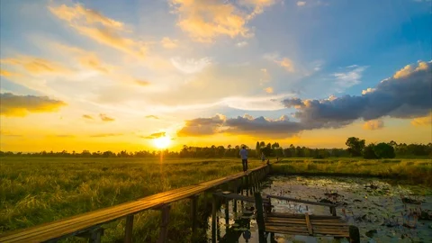4k video time lapse of 100 year-old wooden bridge with sunset at Khonburi, Nakho Stock Footage 99346476