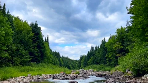 4K Video Timelapse. Clouds moving fast over river and forest Stock Footage 202280362