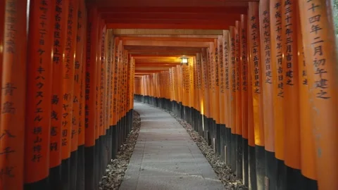 4K Video of Torii gate corridor and Fushimi Inari Shrine in Kyoto, japan. Video stock 273657815