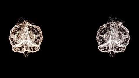 4k video of two abstract brain models under examination, rotating in space. Stock Footage 121799424
