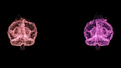 4k video of two abstract brain models under examination, rotating in space. Stock Footage 121811603