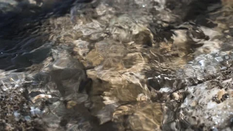 4k video. Waves wash over rocks covered with algae in the sea Stock Footage 161403278
