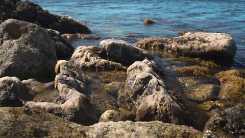 4k video. Waves wash over rocks covered with algae in the sea Stock Footage 161403279