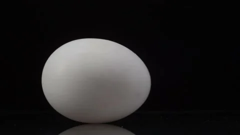 4K video of white chicken egg spinning on a black background with reflection Vídeos de archivo 147407353