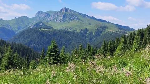4k video with wind blowing hard in Ciucas mountains Видео 247706275