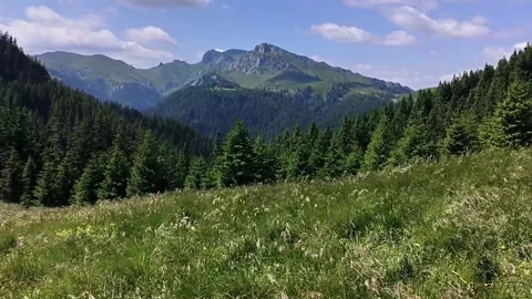 4k video with wind blowing hard in Ciucas mountains Видео 247706318