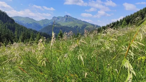 4k video with wind blowing hard in Ciucas mountains 스톡 동영상 247706333