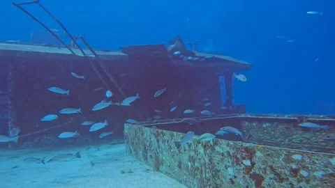 4k video of the wreck of the MV Sherice M in South Bimini, Bahamas Video stock 232710053