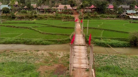 4k Vietnam rice fields Stock Footage 126097049