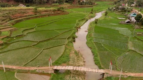 4k Vietnam rice fields Stock Footage 126098882