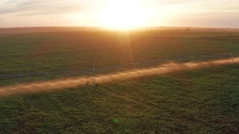 4K View From Above .Watering the Cornfield with a Sprinkler. Automatic Watering Stock Footage 197352176