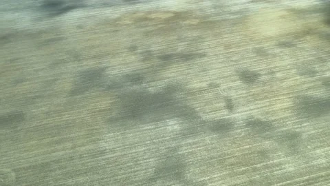 4k View from airplane to the empty fields. Video stock 155805929