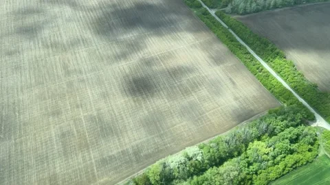 4k View from airplane to the fields and road. Stock Footage 154761938