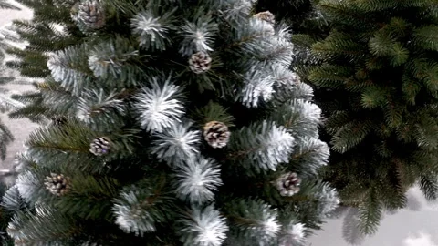 4K view of artificial Christmas trees rotating on a stand. Stock Footage 253112615
