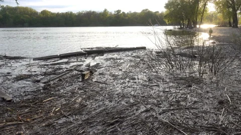 4K view of branches in the water Stock-Footage 154856794