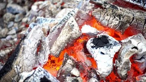 4K view burning fire close-up. Flames on the coals and ash Stock Footage 84085039