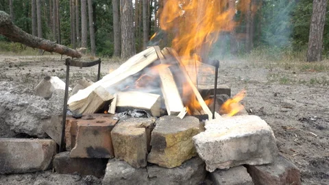 4k view of a campfire in the forest. Stock Footage 170721324