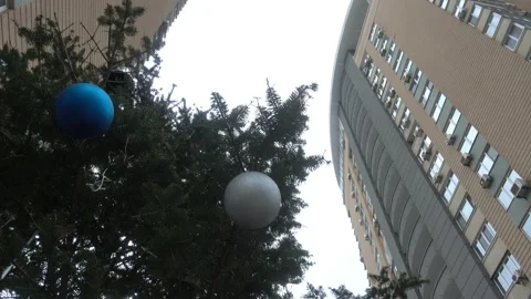 4K view of a Christmas tree among high-rise city buildings. Stock Footage 164374294