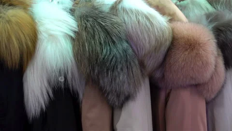 4K view of different models of mink coats in a row Stock Footage 116272812