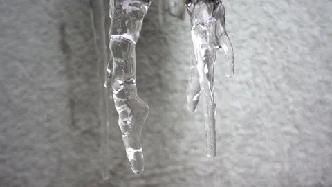 4K view drops dripping from melting icicles. Stock Footage 101611942