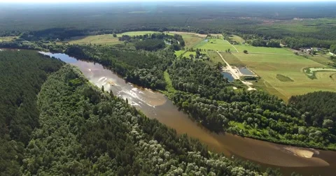 4K - View of the forest river. scene 02 Video stock 54046123