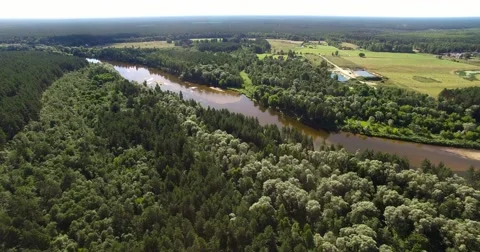 4K - View of the forest river. scene 01 Stock Footage 54046131