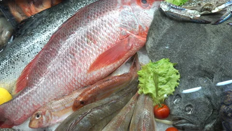 4K view of fresh fish and seafood Stock Footage 231410604