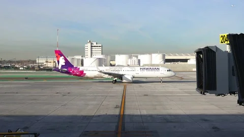 4K view from the gate of a Hawaiian Airlines plane on the tarmac of LAX Stock Footage