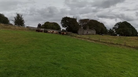 4K View of Green Meadow at Eirke in Castletown County Kilkenny Stock Footage 337843528