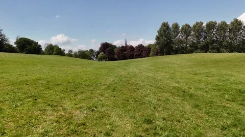 4K View of Green Meadow Surrounded by Trees Under Blue Sky Video stock 337845647