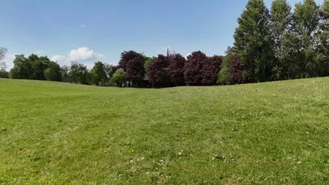 4K View of Green Meadow Surrounded by Trees Under Blue Sky 库存影片 337845778