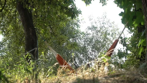 4K view of a hammock with a man resting Stock Footage 201239994