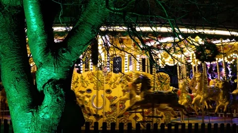 4K: View of Horse Carousel Galloper in Motion and illuminated from Behind Tree Stock Footage 256984820