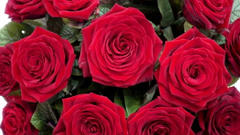 4K view of large bouquet of red roses as background. Stock Footage 85624630