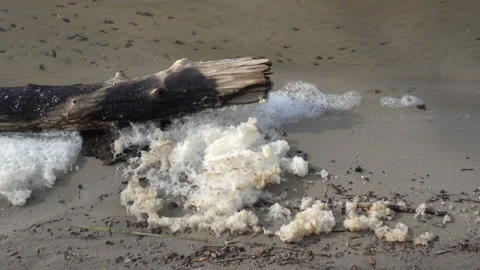 4K view of a log with dirty foam Stock Footage 166035440