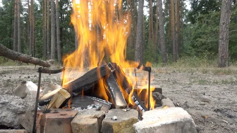 4K view of a log fire in the forest. Stock Footage 233028117