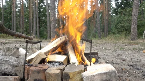 4K view of logs burning in a fire Video stock 213345446
