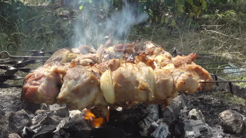 4K view of meat being fried on skewers on a campfire Stock Footage 199679806