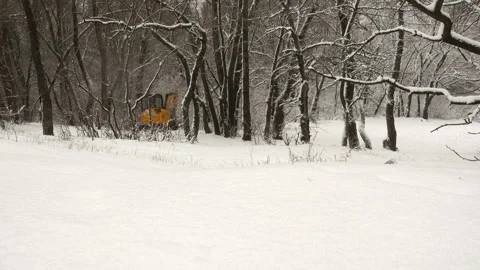4K view of a mini excavator driving in a winter park. Video stock 212450445
