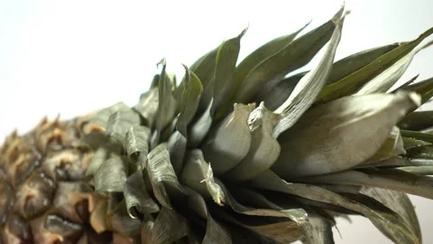 4K view of pineapple, orange and apple close-up. Stock Footage 86464602