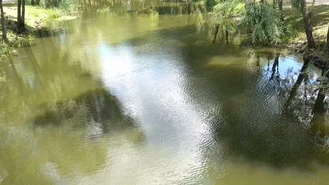 4K view of the quiet water with the reflection of green trees Stock Footage 187537109
