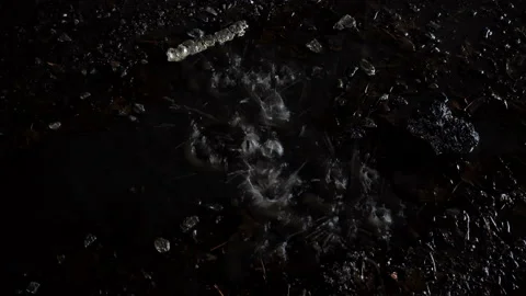 4K view of raindrops fall into a large puddle as a background. Stock Footage 114294063