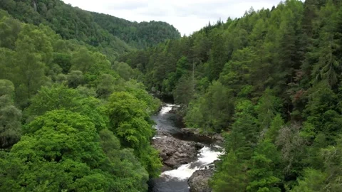 4K View of the River in Dense Green Forest Stock Footage 157022568