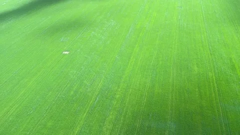 4k View from small propeller airplane on green field. Stock Footage 154646000