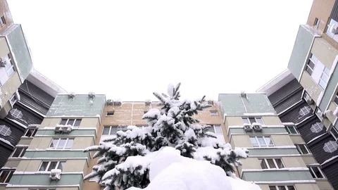 4K view of snow-covered spruce tree and apartment building Stock Footage 83643254